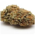 Шишки AK47  (Гидропоника, Бошка) VHQ в Саках